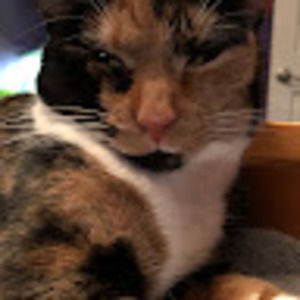 Meet your Posher, Avery